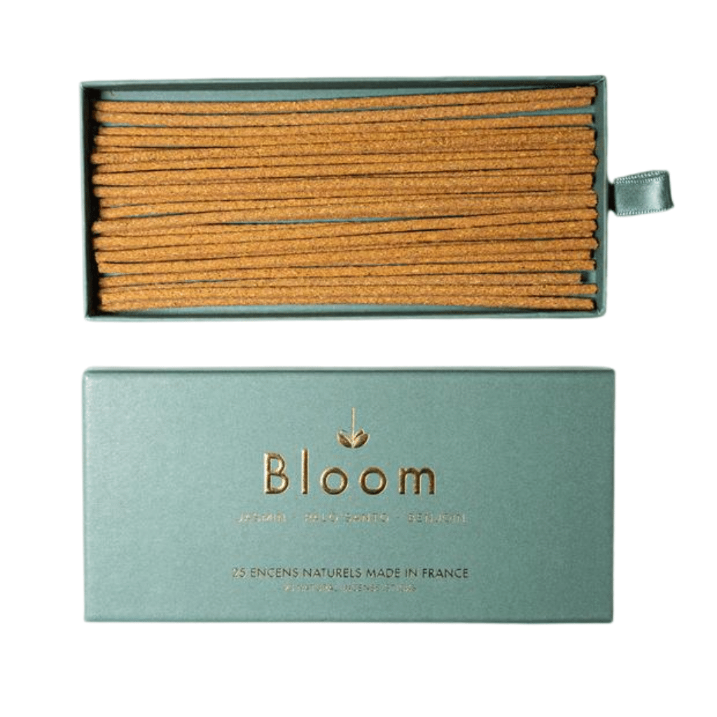 bloom dragonfly 1