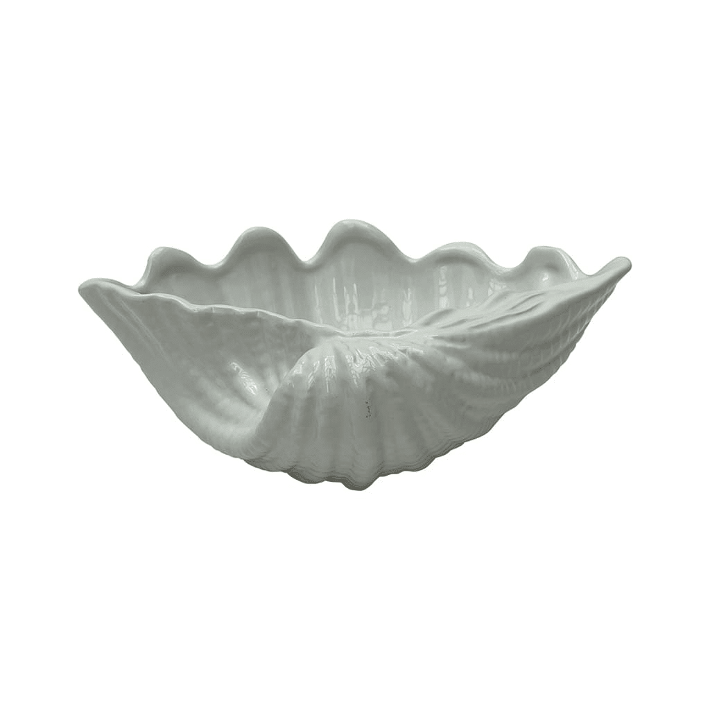 coquillage pot neptune blanc 1