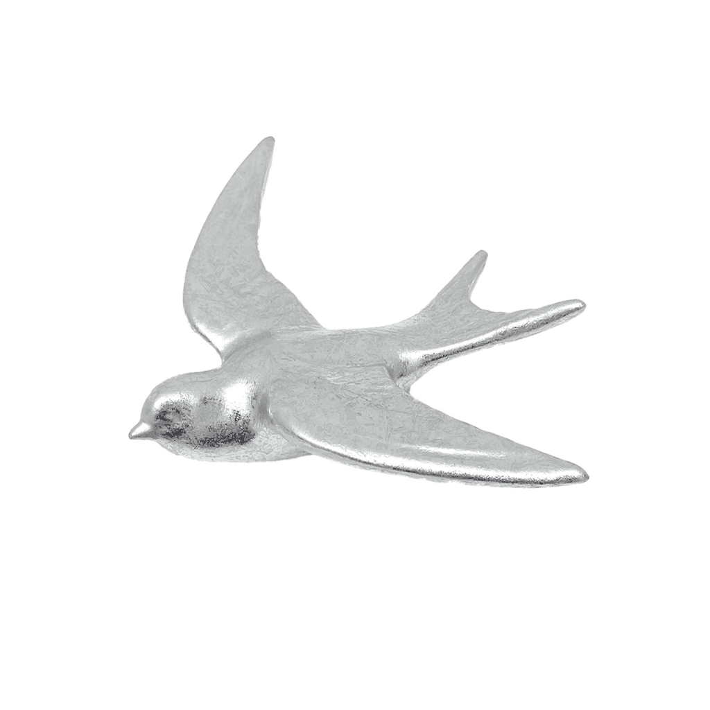 hirondelle argenté 1