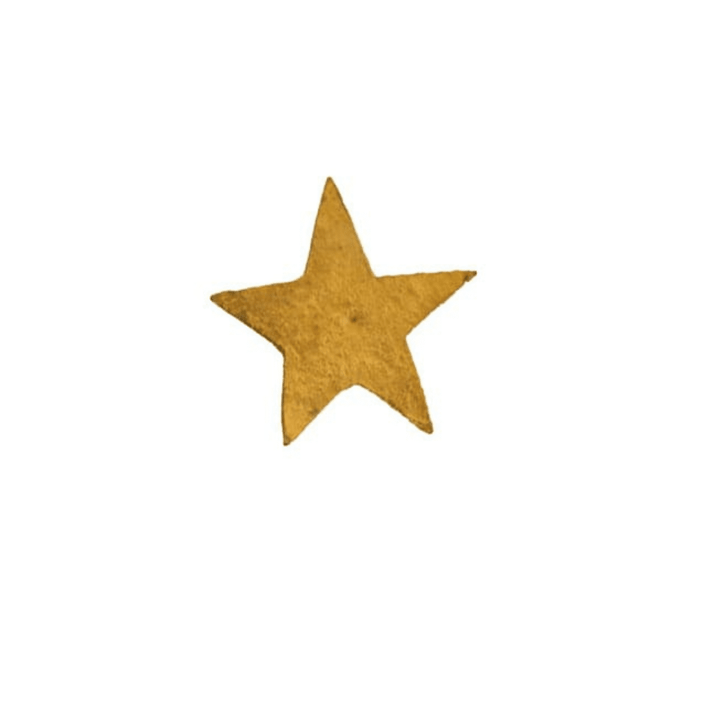 clou étoile grand 1