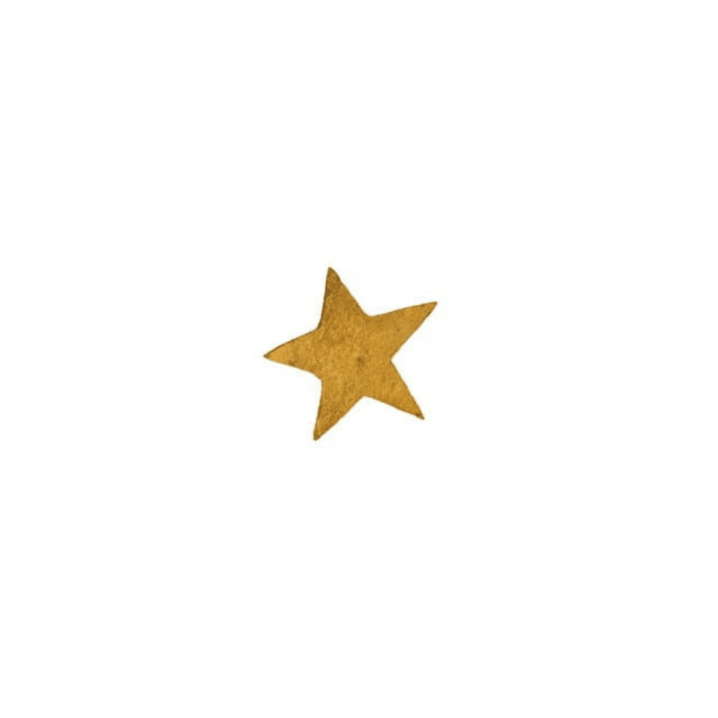 clou étoile moyen 1