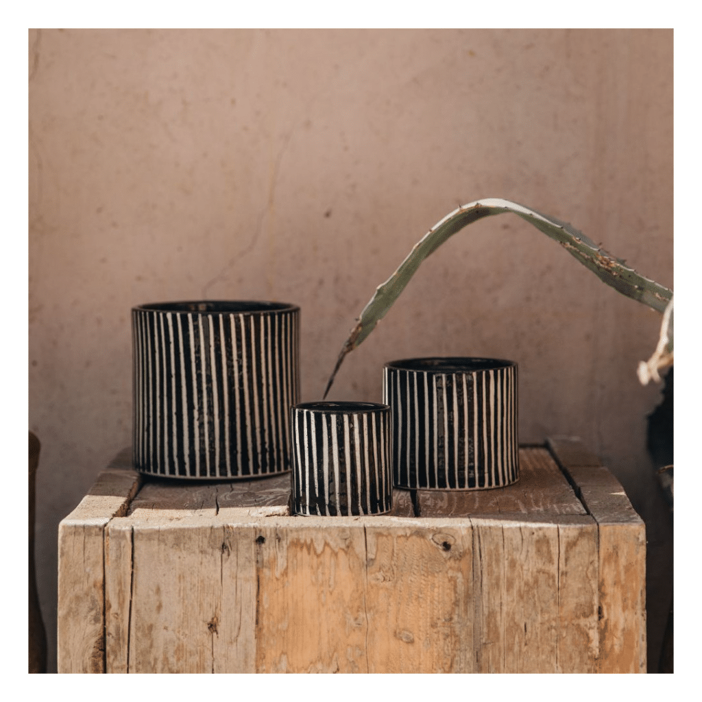 bougie zebre l mandarine