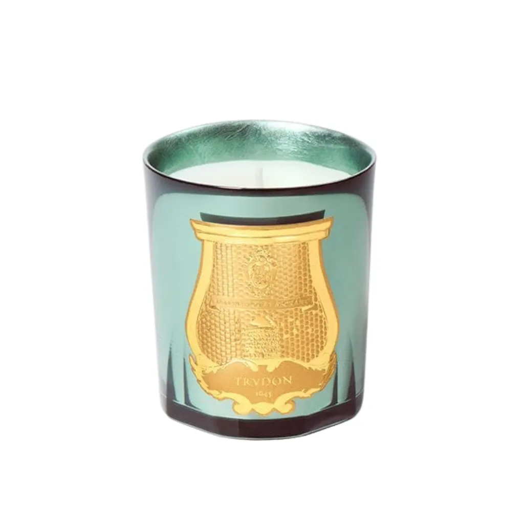 bougie fir 270 gr trudon