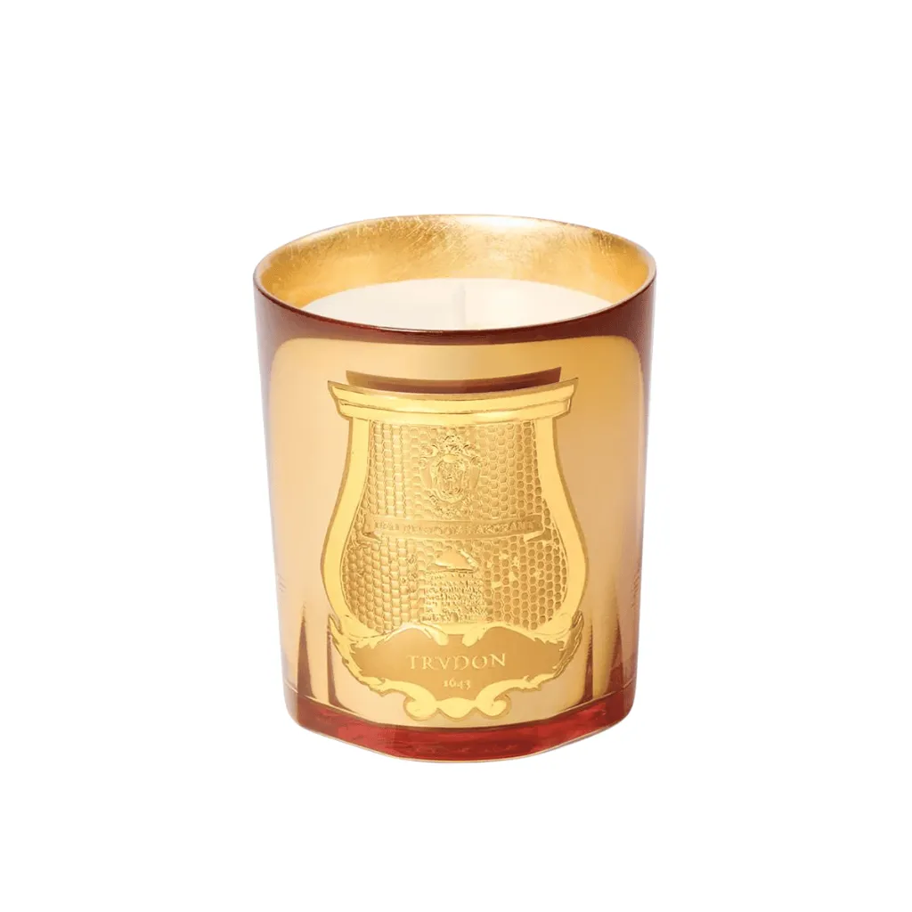 bougie galerie des flammes 270 gr trudon